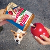 Picture of KONG Stuff’N All-Natural Peanut Butter 170g Dog Treat Fillin